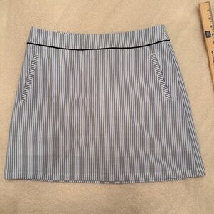 RENWICKChic Striped Mini Skirt in Blue and White